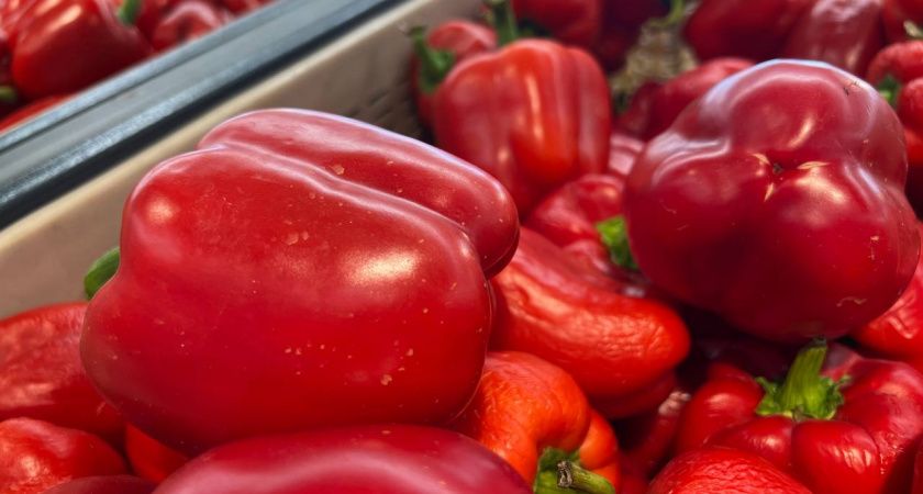 1 горсть в лунку, и перцы начнут расти как на дрожжах: до 5 килограммов крупных и сочных плодов с куста