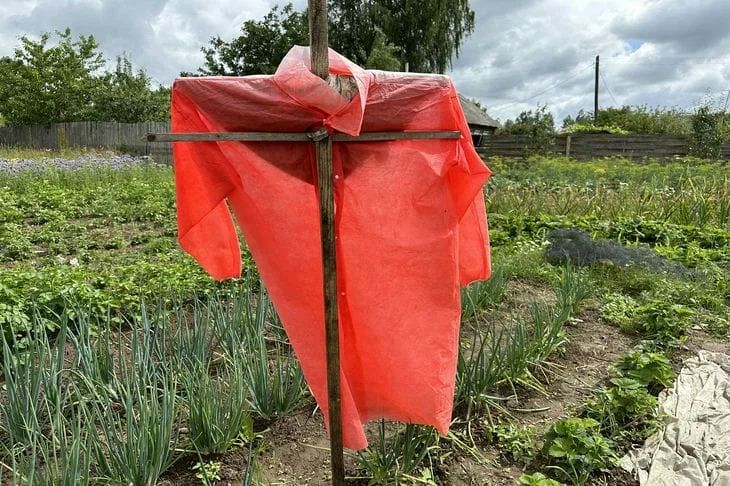 Секреты ленивых дачников: как отдыхать в гамаке и собирать рекордный урожай