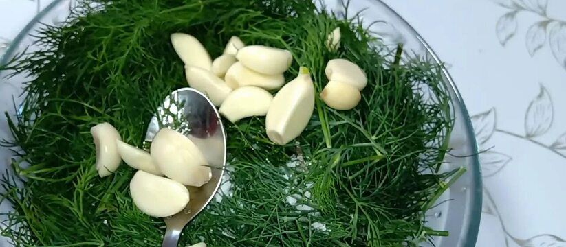 Зелень больше не замораживаю и не сушу на зиму: делаю из укропа, петрушки и чеснока ароматную приправу – хранится долго
