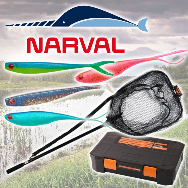   :   Narval,   