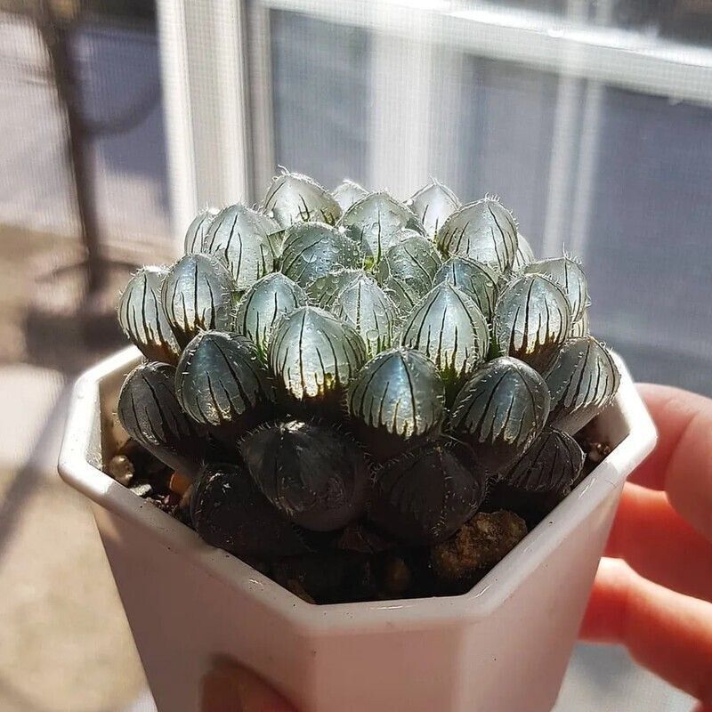 :   