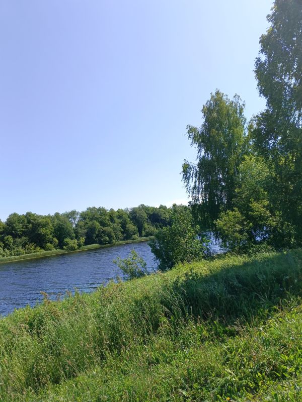 Как избавиться от токсичных людей в своем окружении