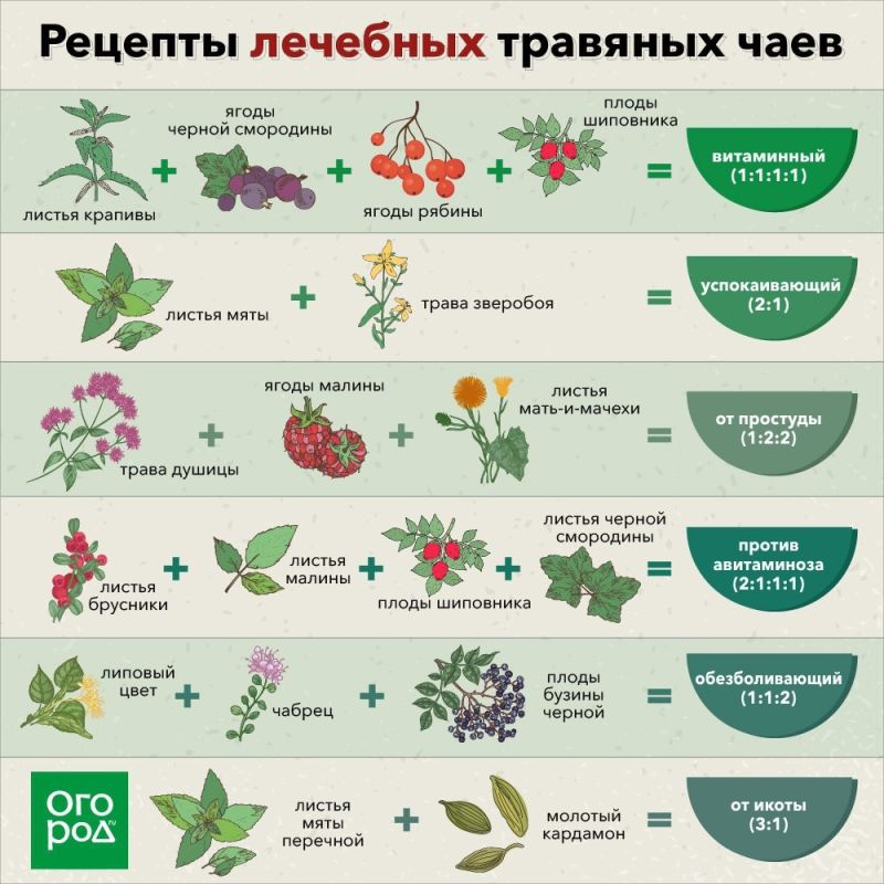 Как изменить привычное завтра: секреты успешного перехода на новые технологии