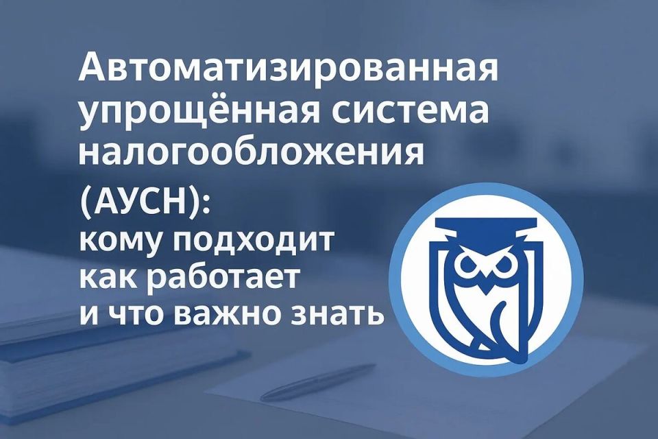 Автоматизированная упрощённая система налогообложения: новый взгляд на налоговый режим