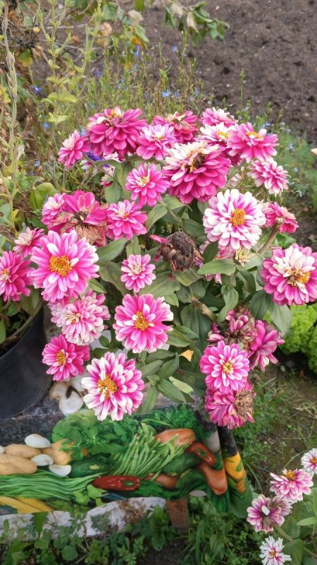 Символическая помощь или запоздалая забота: 1500 рублей для «детей войны»