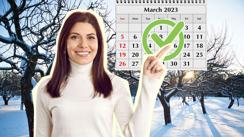 Не провороньте момент: обрезка деревьев в эти даты принесет небывалый урожай