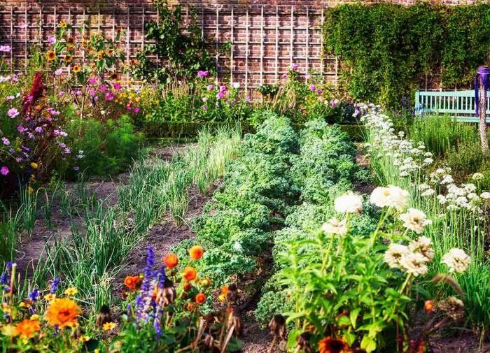 Ангардинг: новый взгляд на садоводство в гармонии с природой