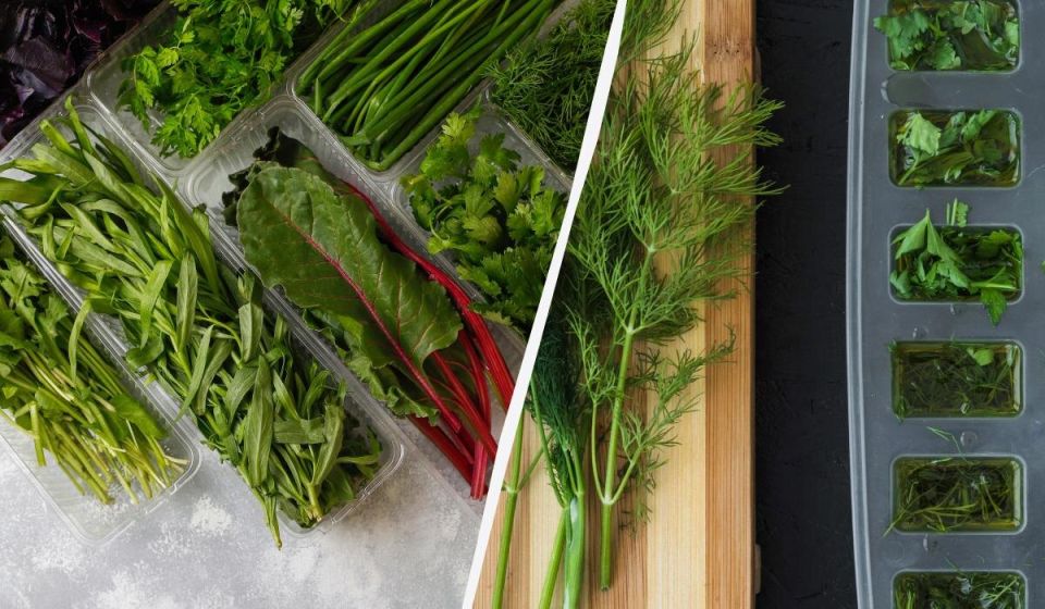 Секреты долговечной свежести: как правильно хранить зелень