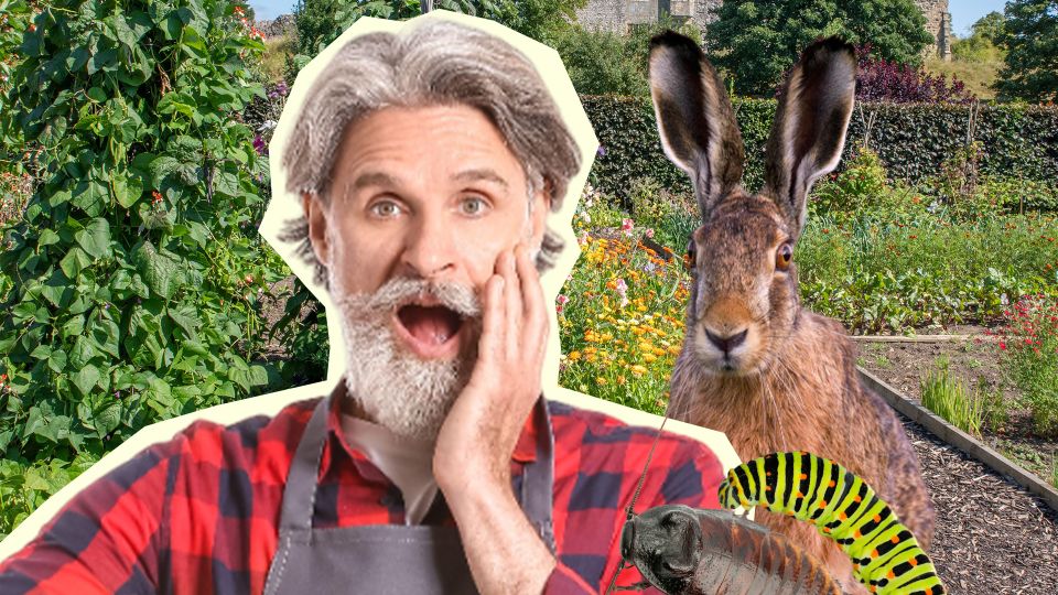 Эта ошибка погубит весь урожай: вредители съедят все подчистую