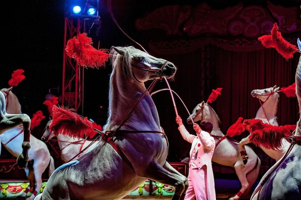 Запрет на цирковых животных: новый законопроект вызывает общественное обсуждение