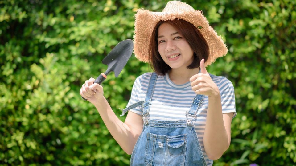 Забудьте про вонь из дачного туалета: с этим средством он будет благоухать