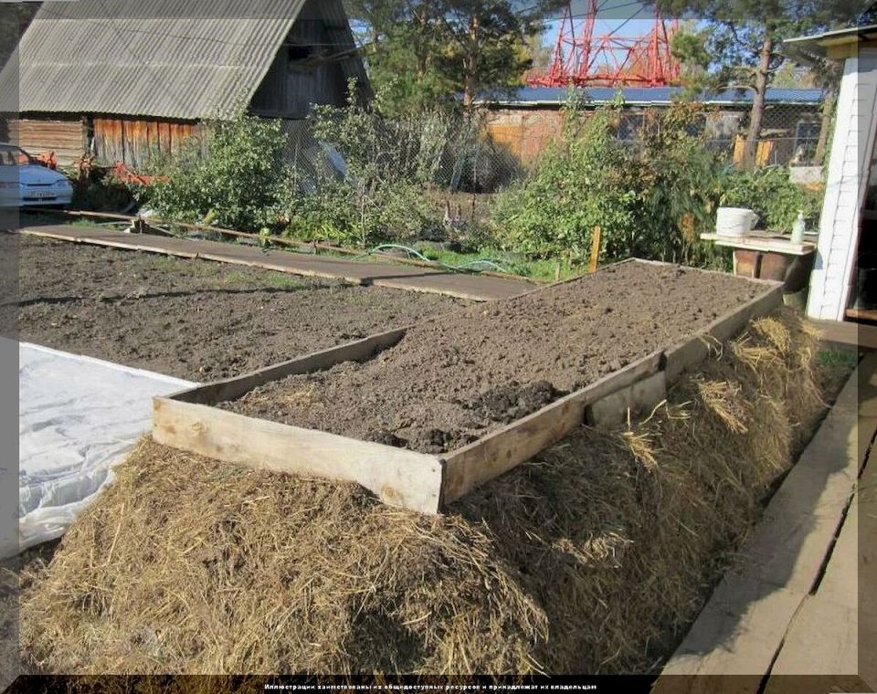 Три инновационных типа теплых грядок для огурцов