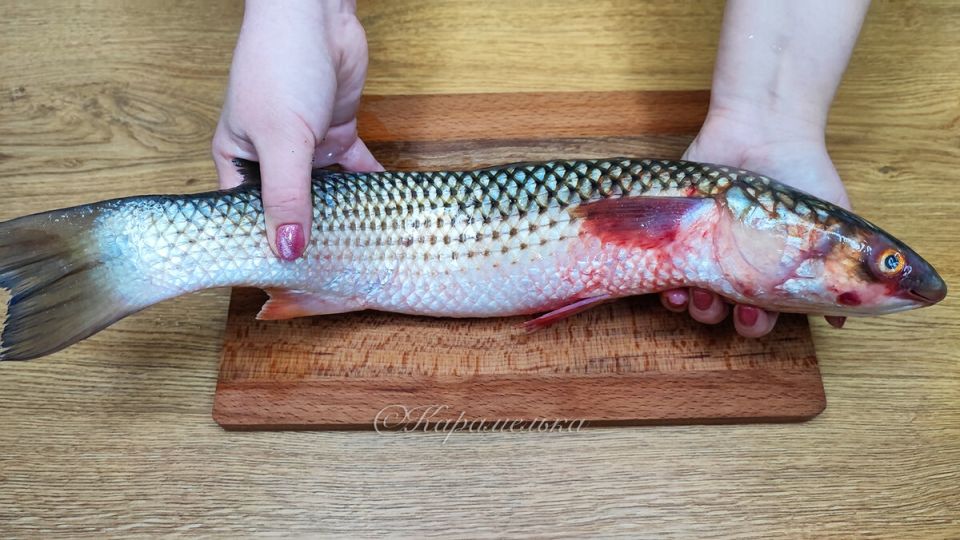 Приготовление кефали в ароматном соусе за 30 минут