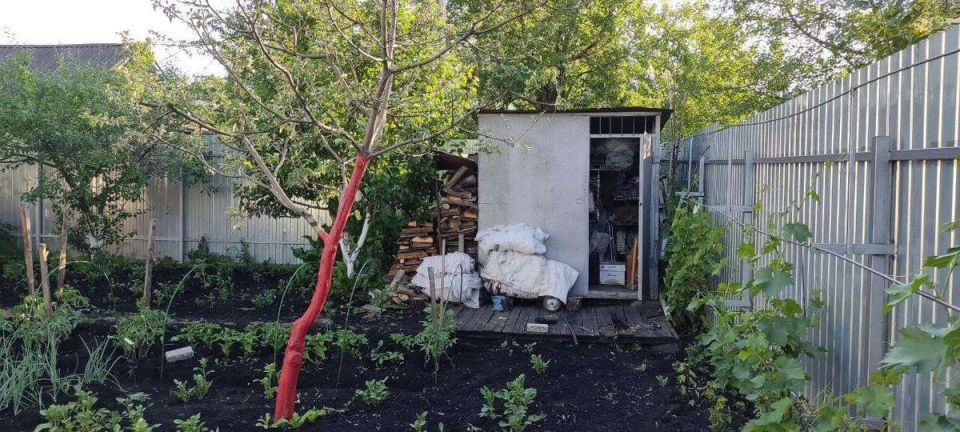 Новые правила в садоводстве: что изменилось в личных хозяйствах?