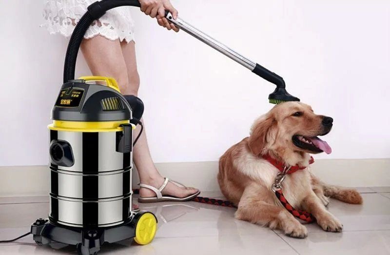 Умный пылесос на вашей стороне: неожиданные лайфхаки для каждой хозяйки