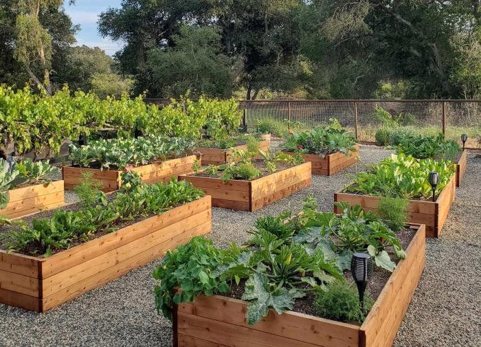 Как выбрать идеальное место для высоких грядок: советы для вашего сада