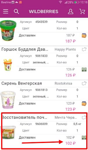 Неожиданные факты о Вайлдберриз: разбор популярных мифов