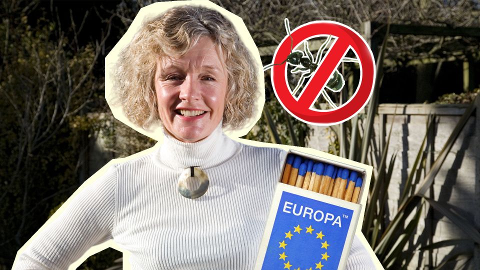 Расставьте по огороду спичечные коробки: муравьи в ужасе сбегут с участка