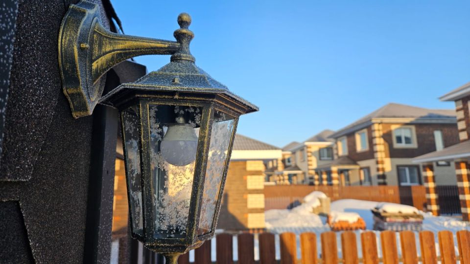 Теплая зима 2025: проблемы дачников и советы по сохранению урожая