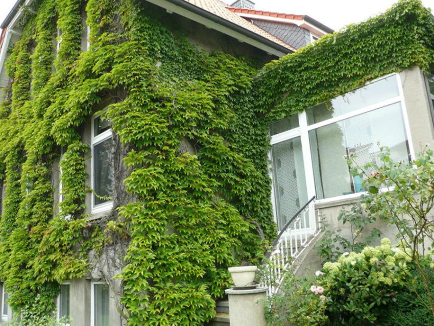 Ошибки, которые стоят дорого: как разрушить свой дом неосознанно