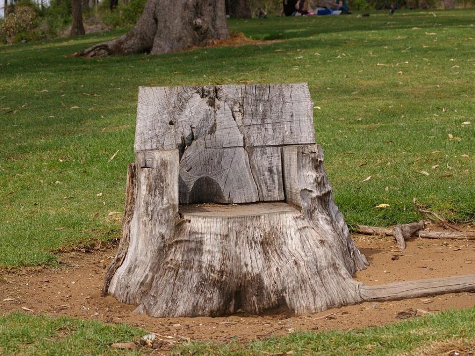 Как превратить старый пень в эффектную клумбу: просто и без усилий