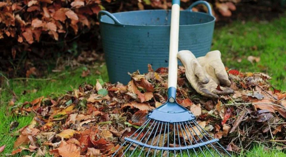 Как подготовить огород к будущему урожаю: простые осенние шаги