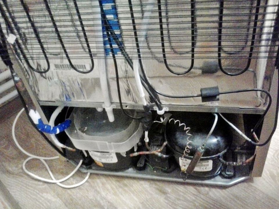 Как справиться с проблемами холодильника без помощи мастера