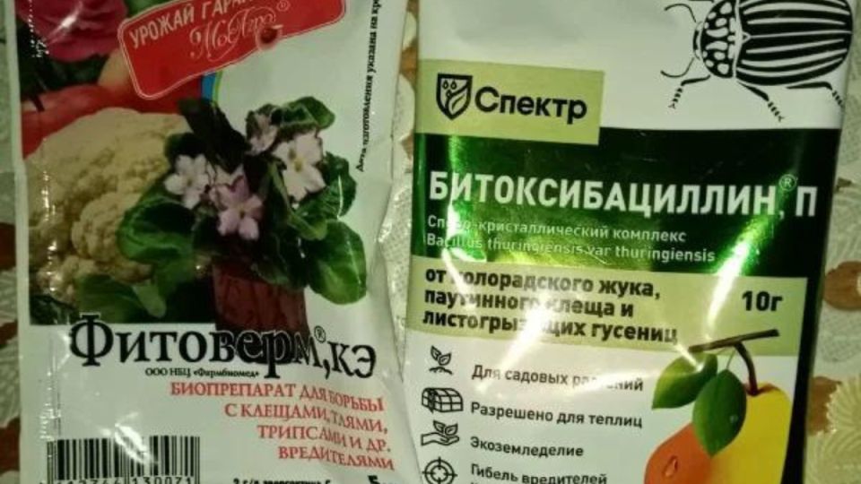 Как собрать идеальную аптечку для защиты сада: советы экспертов