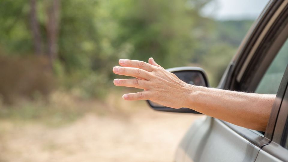 ����� �� ������: ��� �������� �������� ������ � ����� ��������?