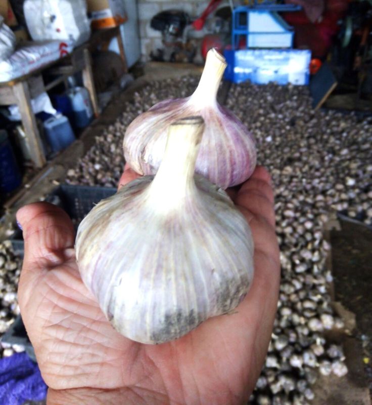 ������� ��������� ����� ����� ������ �������