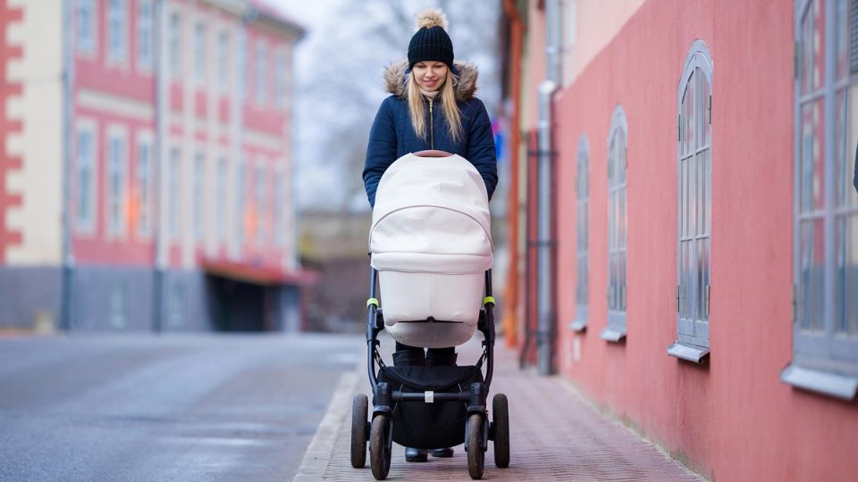 ��� ���� ����� � 2026 ����: ������������ �������� � ������ ������� ��� ����� � ����������