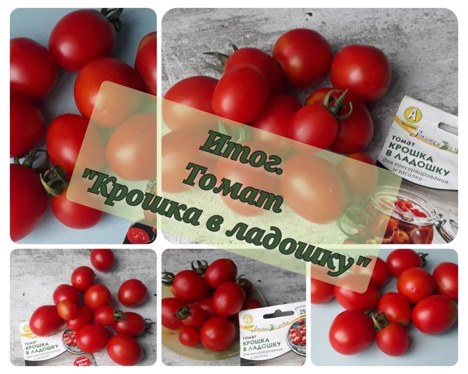 ������ � �������: ���������� ���� ������� � ����������� ����������