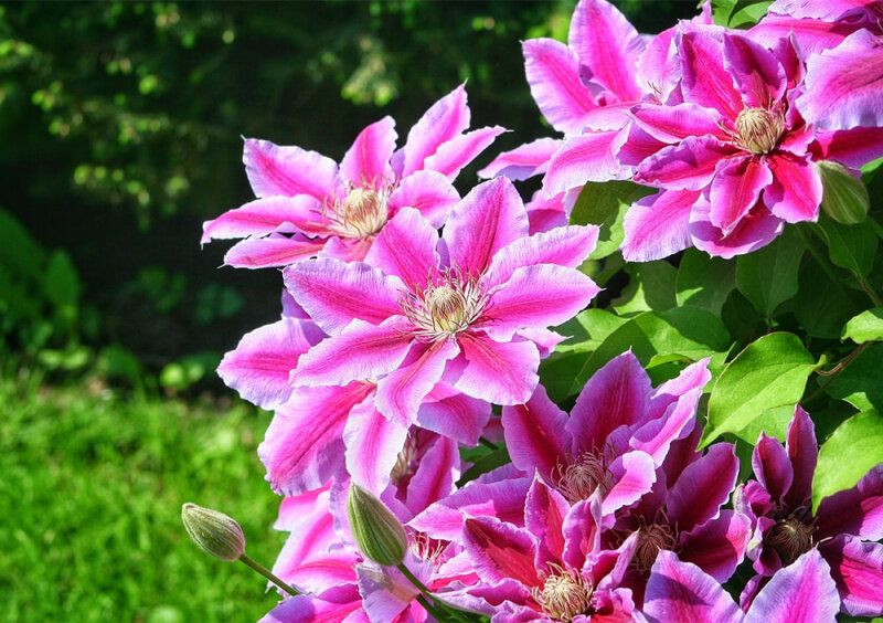 ������������ ����� ������� ����������: ������� ��������� ����