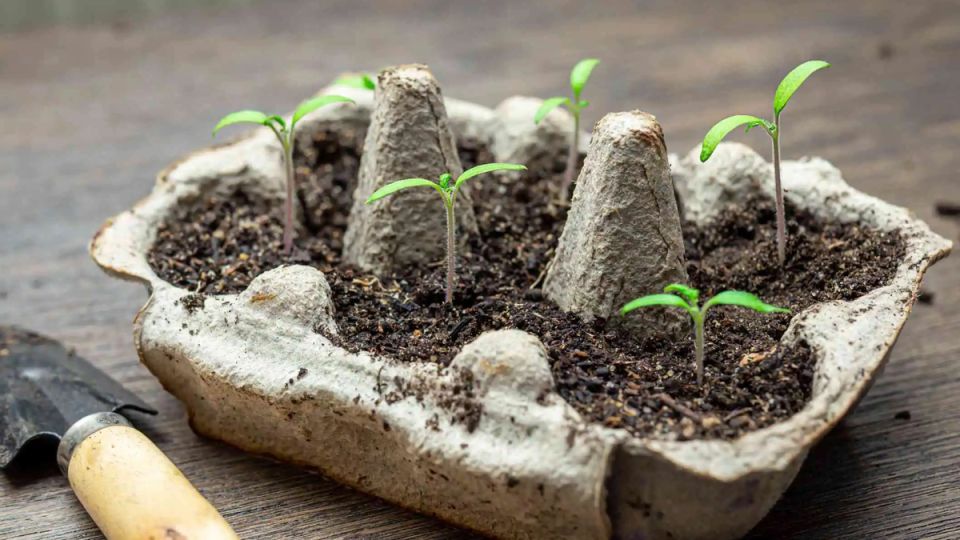 ������� ��������� ����������� ������� � ������ ������: ��� �������� �������� �� �������