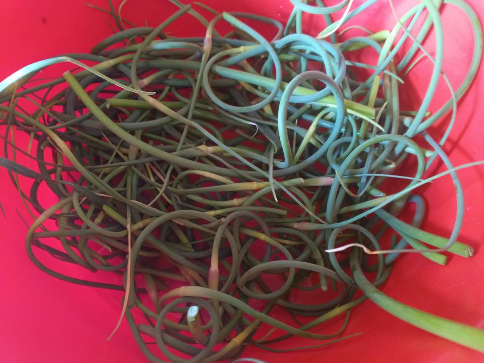 ��������� �������: ������� ������� ��������, ������� ���������� ����� ���������� ���������