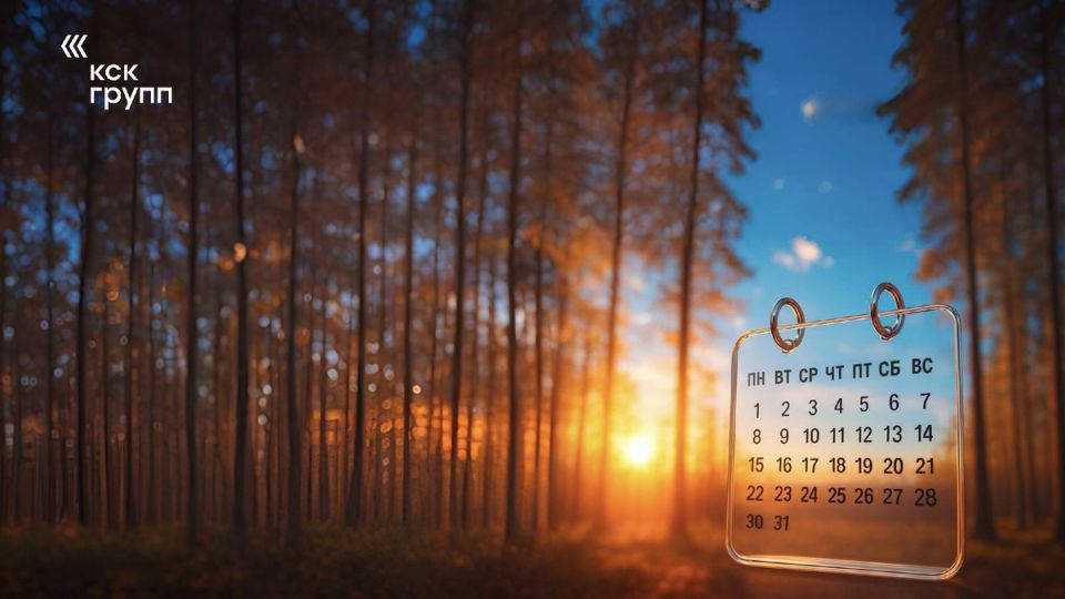 Новые изменения в законодательстве: что ждет бизнес в 2026 году?