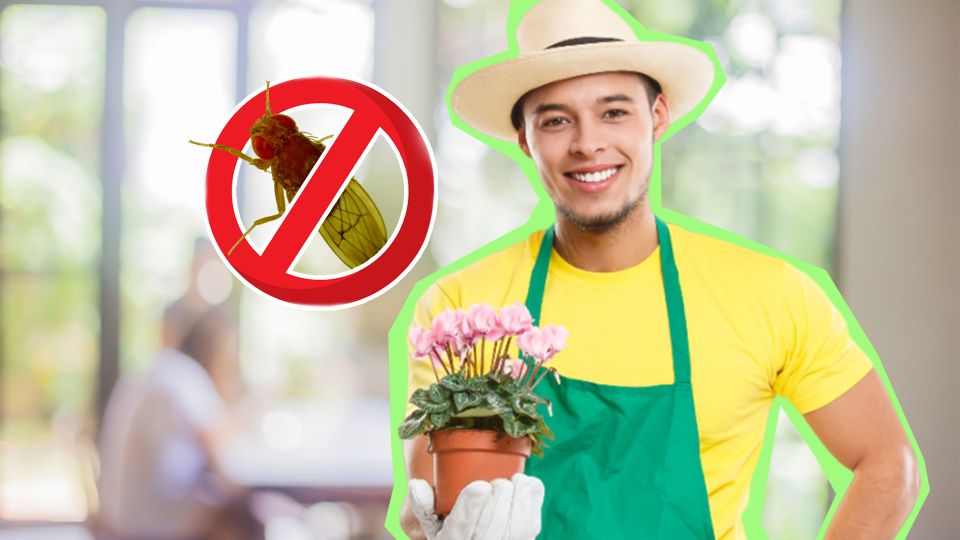 ����������� ����� � ������ ������ �� �������: �� �������� ������� � ����� �����