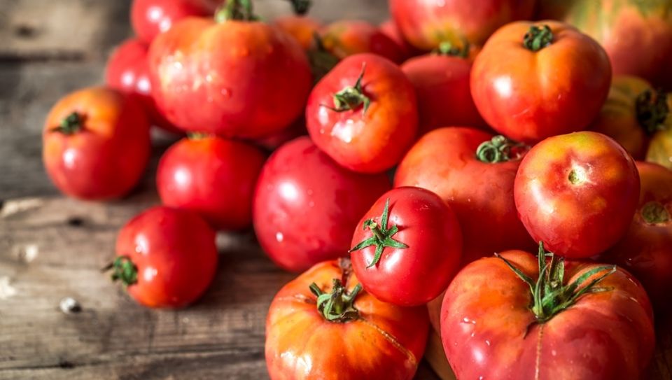 Когда томаты вредят: рекомендации экспертов по здоровью