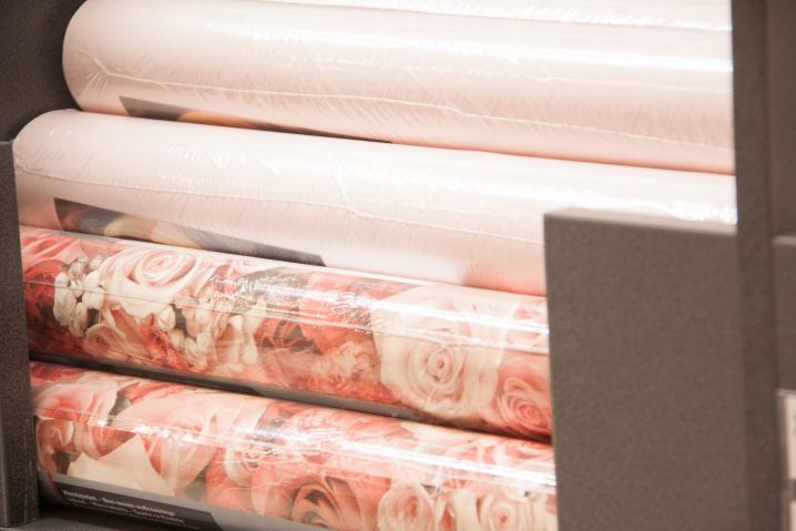 �������� ������, ��� � ����� �� �����: ��� ��������� ���� � �������� ��������