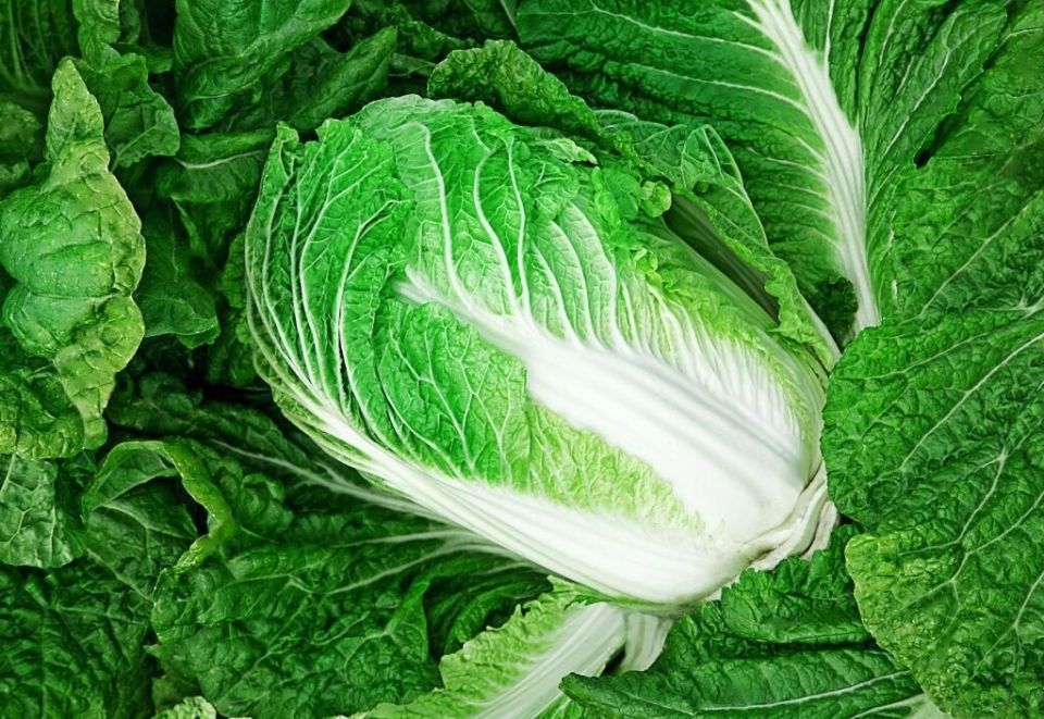 ����������� ��������� �������: ������� ��������� ������