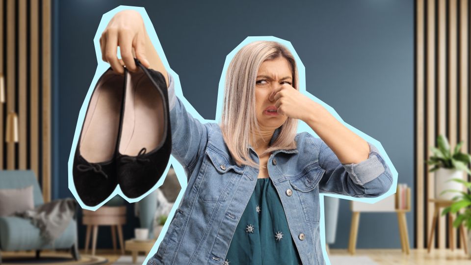 ���������� ����� �� ����� �������� ��������: ��� ����������� �������� �������