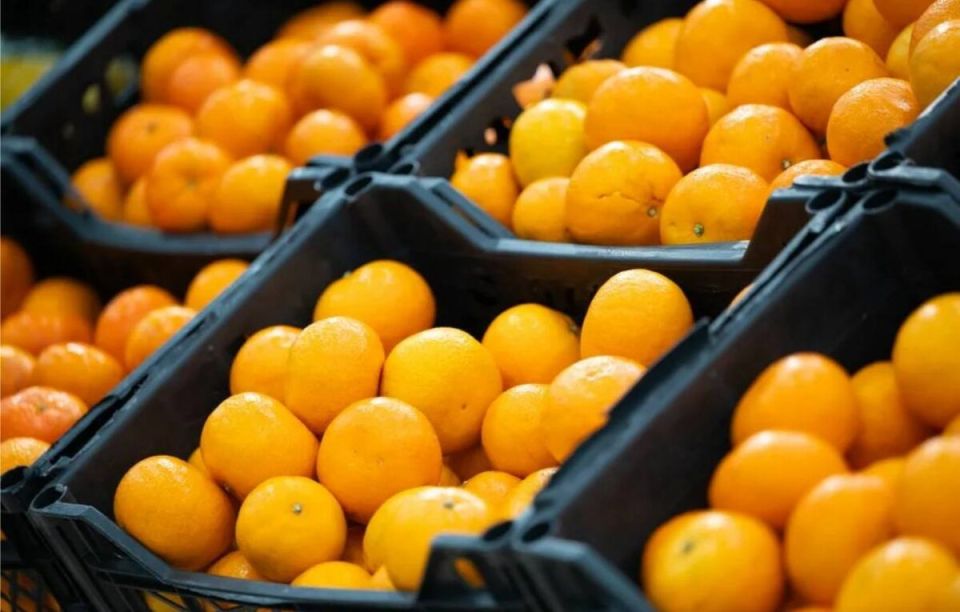 �������� ������� ���������� ����������