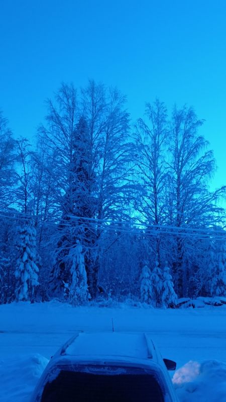 Семейные узы на Рождество: как поддержка и любовь помогают преодолеть трудности