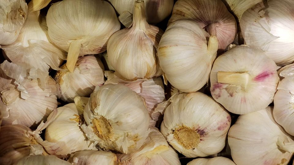 Как хранить свежий чеснок дольше: от глиняного горшка до парафинирования