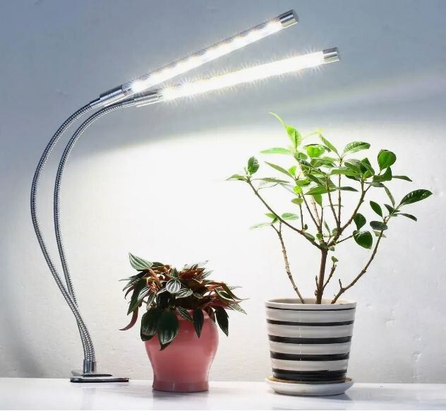 ���������� ����������� ��� ��������� ��������: ��� ��������� �������� � ���������� �����