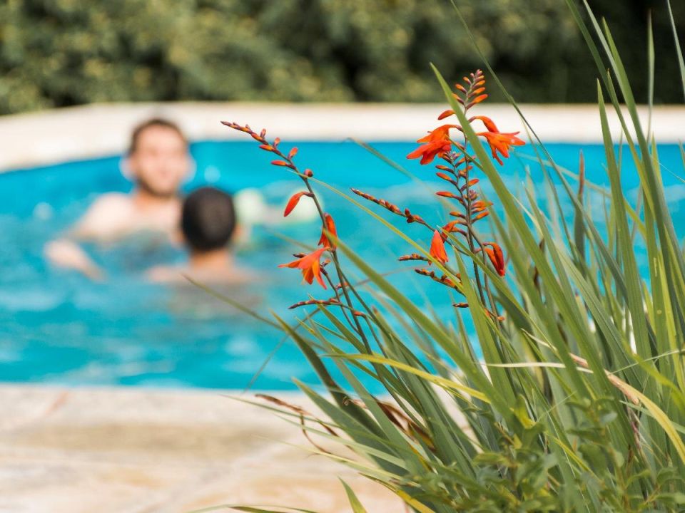 ��� ���� ���������� ����� ������ ����� ��� �� ������