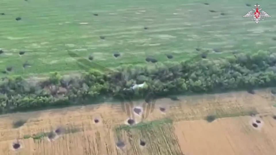  :  FPV-          ,   ,           ...