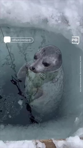         !