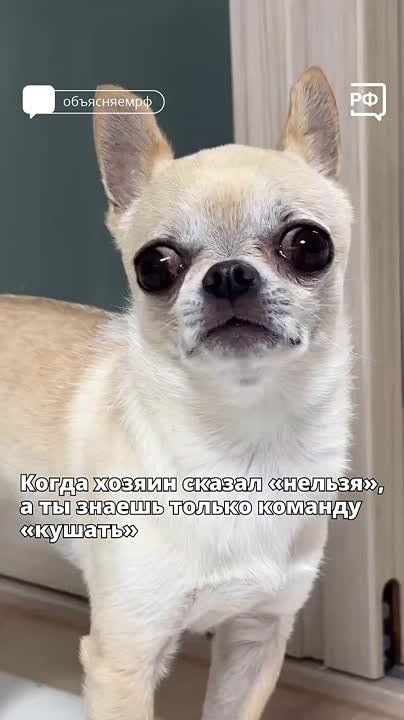      :     ,    ,  