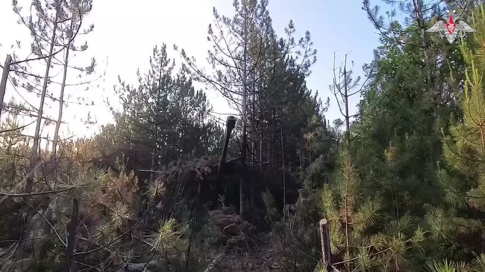  :   -ѻ         
